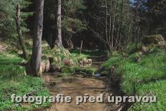 fotografie před úpravou